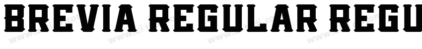 Brevia Regular Regul字体转换